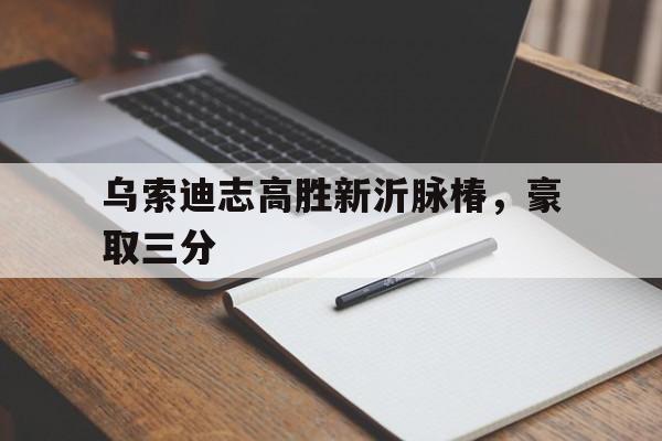 关于乌索迪志高胜新沂脉椿，豪取三分的信息