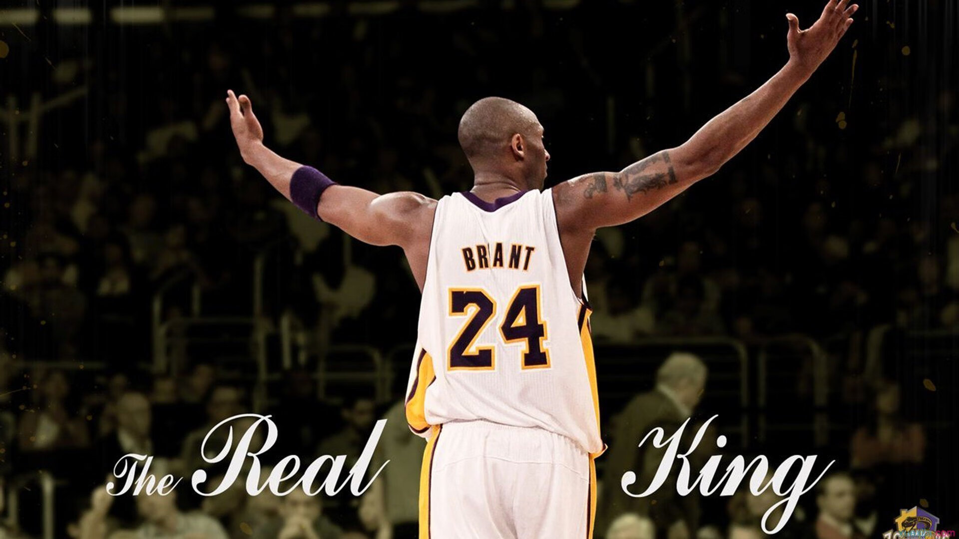 利拉德压哨绝杀如鹈鹕展翅,吉林队憾负成最强背景板