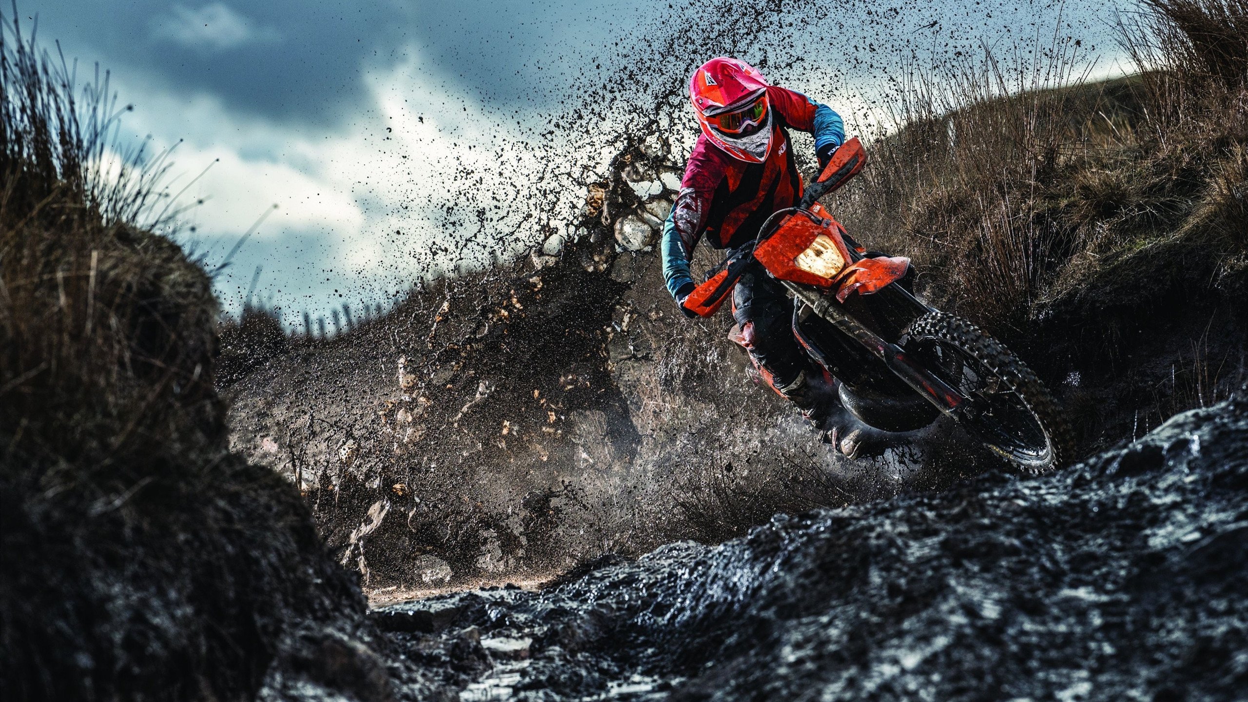 欧冠半决赛焦点战，爱尔兰一波流带走美国，战术革命震惊足坛